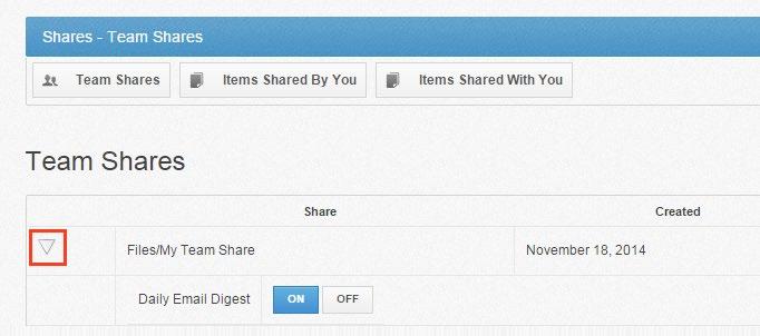 How to Manage Shared Items You might find it useful to keep track of items in Team Shares, as well as items you have shared with third parties.