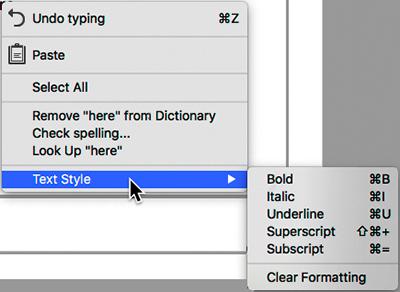 Editing inside a text box With the comment toolbar open and while the insertion point is inside the text box, right-click to open an editing menu with paste, delete, spell check, dictionary look
