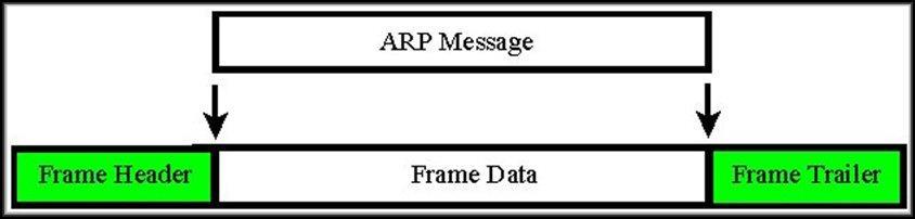 The ARP Process: One Final Note Ethernet encapsulates an ARP packet in the same manner as an IP packet as it travels on the physical network from one computer to