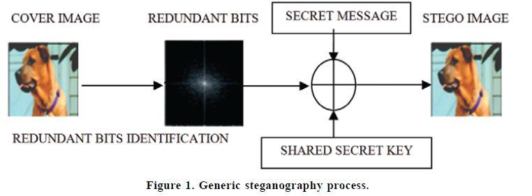 II. LITERATURE SURVEY There are different types of stegano-graphic algorithm which uses for hiding the data into image.