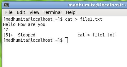 11. cat with > to open a file