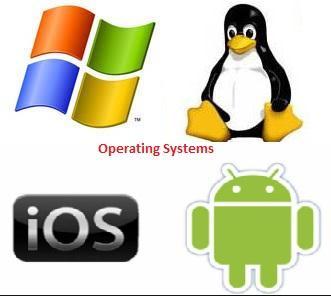 The OS also provides services to facilitate the efficient execution and management of, and memory allocations for, any additional installed software application programs.