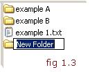 Creating a new folder or folders You will then be prompted to name the