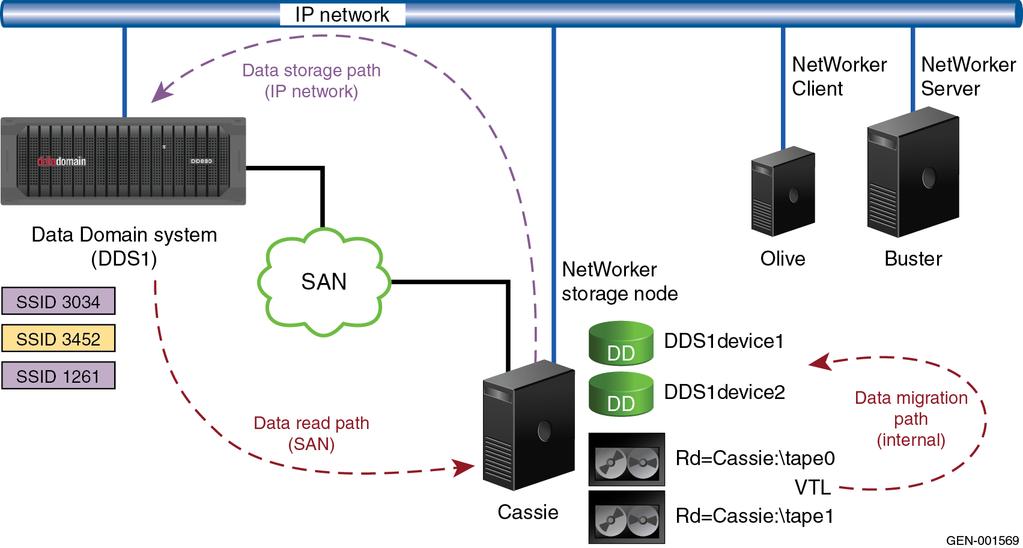 The existing storage node configuration is for VTL storage on a SAN. You have added the configuration for the new DD Boost devices that use the IP network.