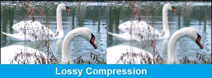 A COMPRESSION TECHNIQUES IN DIGITAL IMAGE PROCESSING - REVIEW [2.