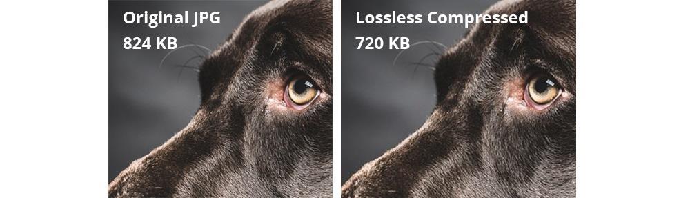 recovered without any loss after decompressing the compressed data, it is called a lossless compression, which is generally used for compressing discrete data.