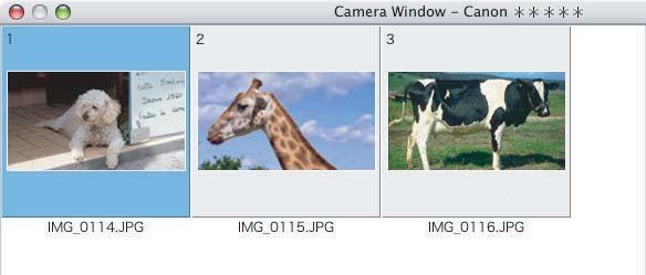 Camera Browser Window Camera Browser window Still image information and a histogram Starts ImageBrowser. Prints the selected still images. Selects the still image selection method.