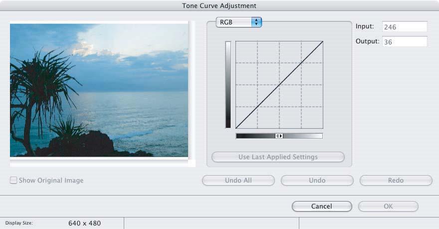 [Tone Curve Adjustment] Window Select [Tone Curve Adjustment] from the icon located at the bottom of