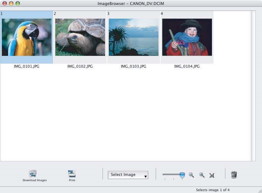 2 Select images you wish to download and click [Download Images].