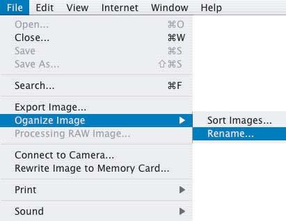 Renaming Multiple Files This task allows you to rename multiple files at the same time, or to rename and copy