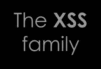 The XSS