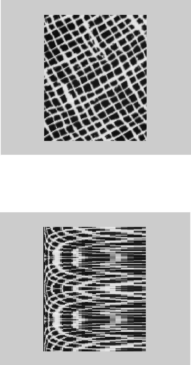Figure 5.3 Image 5 texture image with 30 0 rotation angle. Figure.5.4 Rotation invariant log-polar image of Image 5 Figure 5.