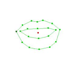 s g 1 2 s = x 1, y 1,..., x n, y n T 1 AAM のモデル構築に用いた 63 点の特徴点を与えた画像 g = g 1,.