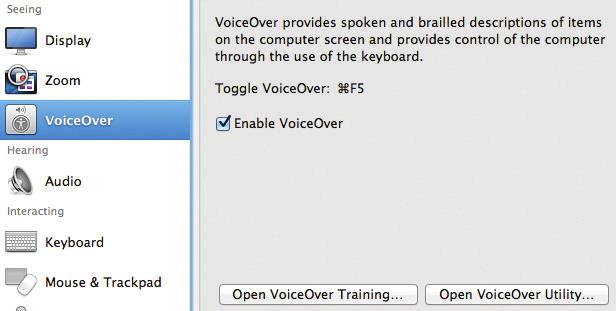 In OS X this is achieved through the functions of the Accessibility System Preferences.