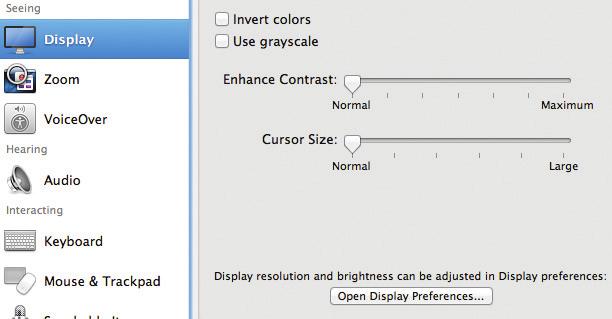 colors, contrast and increasing the cursor size Click on the Zoom button for options to zoom in on the screen 4 Click on the VoiceOver