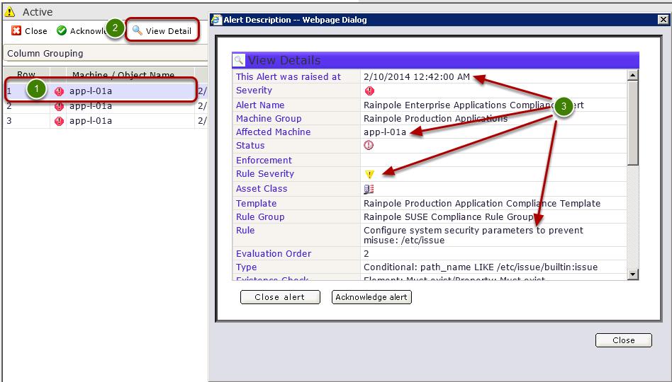 Examine the Alert Details 1. To examine the alerts details, select the desired alert. 2. Click View Detail. 3.