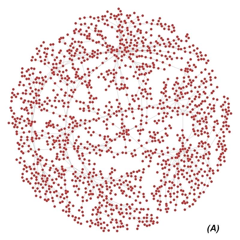 Journal of Statistical Software 3 Figure 1: Three inferred networks: (A) Periodontitis data (example 1); (B) HapMap data (example 2); (C) Iris data (example 3).