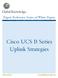 Expert Reference Series of White Papers. Cisco UCS B Series Uplink Strategies
