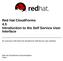 Red Hat CloudForms 4.5 Introduction to the Self Service User Interface