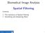 Biomedical Image Analysis. Spatial Filtering
