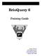 BrioQuery 6. Training Guide