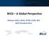 BICSI A Global Perspective. Michael Collins, RCDD, RTPM, CCDA, NCE BICSI President-Elect