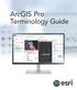 ArcGIS Pro Terminology Guide