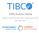 TIBCO Analytics Meetup. Michael O Connell and the TIBCO Data Science Team April 25th, 2017
