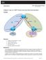 Chapter 3 Lab 3-3, OSPF Virtual Links and Area Summarization