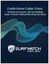 Credit Union Cyber Crisis: Gaining Awareness and Combatting Cyber Threats Without Breaking the Bank