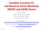 Canadian Common CV and Research Portal Workshop (NSERC and SSHRC focus)