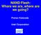 NAND Flash: Where we are, where are we going?
