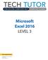Microsoft Excel 2016 LEVEL 3