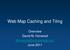 Web Map Caching and Tiling. Overview David M. Horwood June 2011