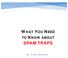 WHAT YOU NEED SPAM TRAPS TO KNOW ABOUT. By: G-Lock Software