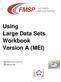 Using Large Data Sets Workbook Version A (MEI)
