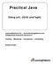 Practical Java. Using ant, JUnit and log4j. LearningPatterns, Inc.  Collaborative Education Services