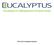 Eucalyptus 4.2 Management Console Guide