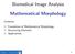 Biomedical Image Analysis. Mathematical Morphology