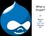 What is Drupal? What is this Drew-Paul thing you do?
