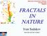 Fractals in Nature. Ivan Sudakov. Mathematics Undergraduate Colloquium University of Utah 09/03/2014.