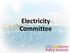 Electricity Committee