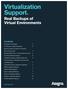 Virtualization Support. Real Backups of Virtual Environments