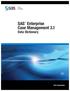 SAS Enterprise Case Management 3.1. Data Dictionary