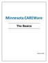 Minnesota CAREWare. The Basics