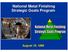 National Metal Finishing Strategic Goals Program