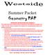 Summer Packet Geometry PAP