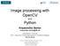 Image processing with OpenCV. Python