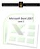Microsoft Excel 2007 Level 1