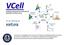 VCell. vcell.org. To run VCell go to: modeling environment for mathematical simulation of cellular events.